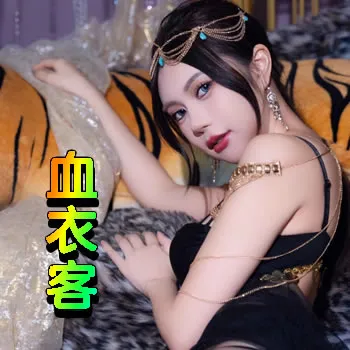 血衣客